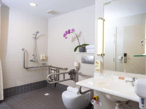 新加坡Ibis Singapore on Bencoolen的一间带卫生间和水槽的浴室