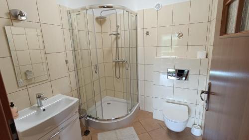 WolanyAgroturystyka "Pod złotą rybką"的带淋浴、卫生间和盥洗盆的浴室