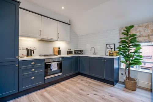 贝尔法斯特Central Belfast Apartments Queen's Lofts的厨房配有蓝色橱柜和盆栽植物