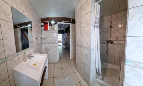MisséGrand gîte à la campagne的一间带水槽和淋浴的浴室