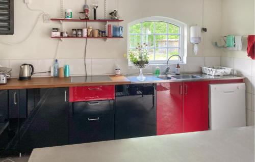 SollebrunnStunning Home In Sollebrunn With Kitchen的厨房配有红色和黑色的橱柜和水槽