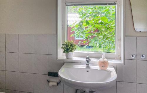 SollebrunnStunning Home In Sollebrunn With Kitchen的带窗户的浴室内的白色水槽