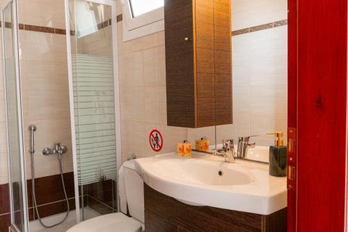 普雷韦扎Apartments Vasileiou Suite 3的一间带水槽、淋浴和卫生间的浴室