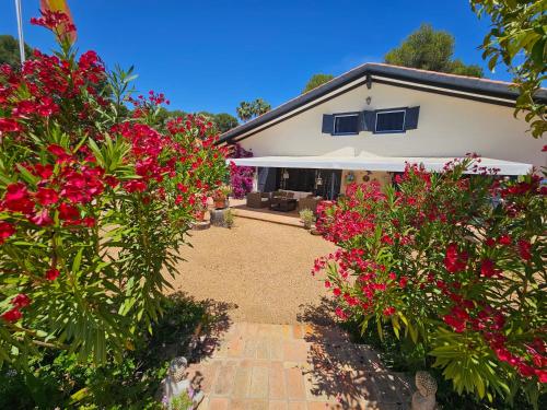翁蒂年特Finca la Yuca的院子里有红色花的房子
