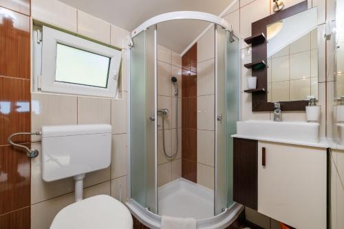 巴尔巴特纳拉布House Ljerka的带淋浴、卫生间和盥洗盆的浴室