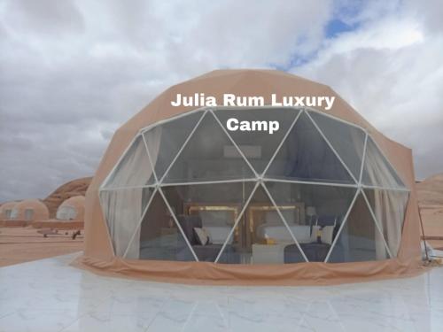 瓦迪拉姆Julia Rum Luxury Camp的朱利叶斯的圆顶建筑,豪华营地