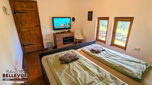 KatselovoArode Nature Villa Bellevue的一间带两张床和电视的客厅