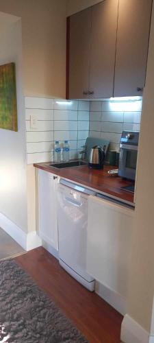 LawrenceTonix Boutique Accommodation的厨房配有白色橱柜、水槽和洗碗机。