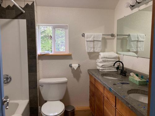 海恩斯罗德之家海滩山林小屋的一间带卫生间、水槽和镜子的浴室