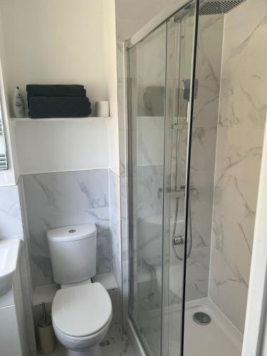 伦敦Carmen’s Flat的一间带卫生间和玻璃淋浴间的浴室