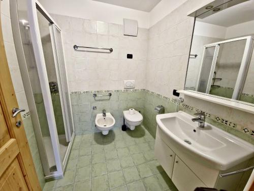 卡纳泽伊Alpe Di Gries Sella Ronda Dolomiti的一间带水槽、卫生间和镜子的浴室
