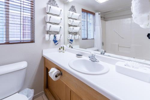 纳帕柏银特河畔纳帕山谷度假酒店的一间带水槽、卫生间和镜子的浴室