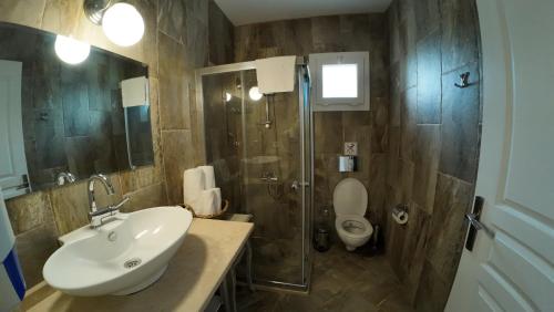 阿拉恰特阿德尔菲亚酒店的一间带水槽、淋浴和卫生间的浴室