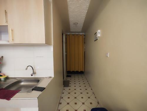 KikuyuSoft Life Crib in Kinoo with Wifi & Netflix的一个带水槽和淋浴的小厨房