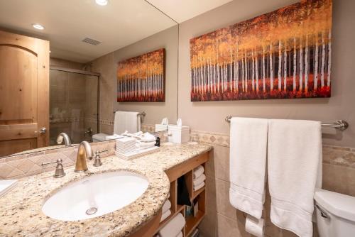 范尔Lodge at Vail Condominiums的一间带水槽和卫生间的浴室