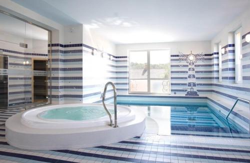 Petrovice u Karviné达克尔酒店的带浴缸的浴室和游泳池