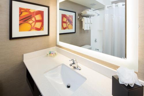 密尔沃基密尔沃基滨河假日酒店的一间带水槽和镜子的浴室