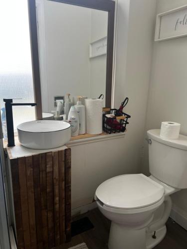 多伦多Sweet Home的一间带卫生间、水槽和镜子的浴室