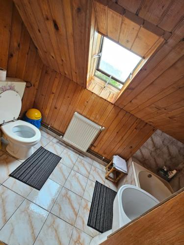 拉姆尼库沃尔恰Casa de pe lac Fedelesoiu ,的享有带卫生间的浴室和窗户的上方景致