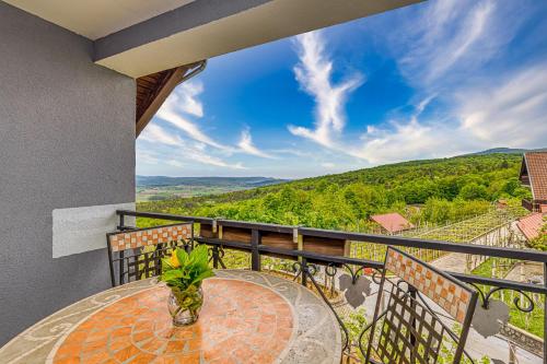DragatušVineyard Homestead Vrtin - Happy Rentals的设有一个配有桌子并享有美景的阳台。
