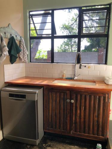 理查兹湾WaTa House in Felixton的一个带水槽和洗碗机的厨房