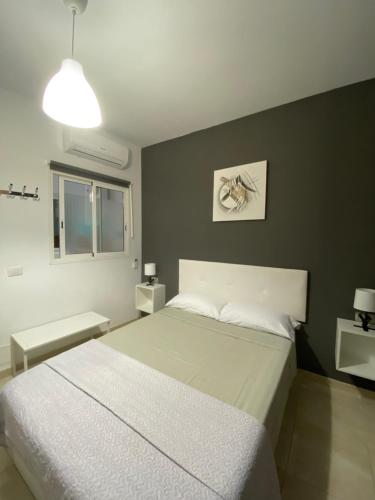 阿罗纳DELUXE ROOM IN APARTMENT SHARED in Los Cristianos Playa HabitaciónSTANZA air-conditioned的一间卧室设有一张大床和一个窗户。