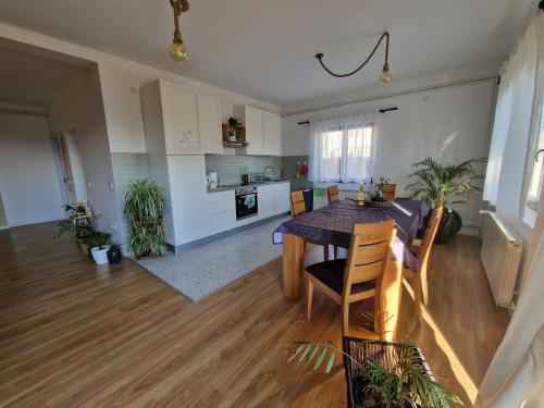 Novi BanovciChe Private Rooms Banovci的厨房以及带桌椅的起居室。