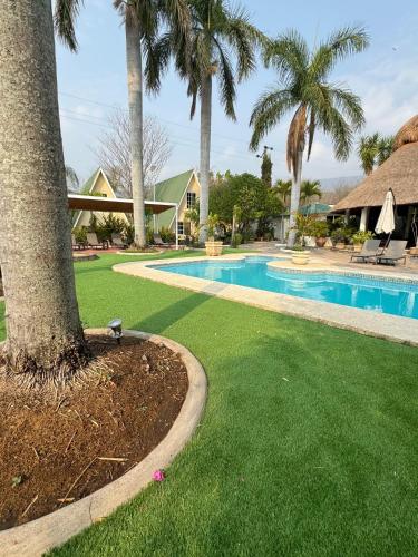 加尔潘VILLAS EL ENCANTO的一个带游泳池和棕榈树的庭院