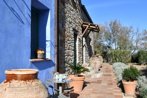 布恩弗奈洛喜美拉特瑞迪酒店的一个带桌子和植物的蓝色建筑的庭院