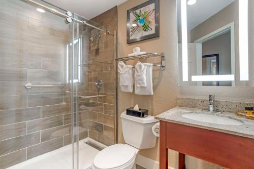 格林维尔Best Western Plus Greenville I-385 Inn & Suites的带淋浴、卫生间和盥洗盆的浴室