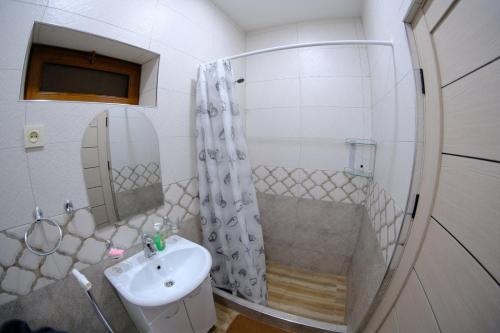 MeghriGam guest house 1的带淋浴和盥洗盆的浴室