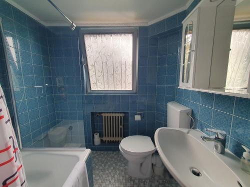 美因茨Privatzimmer an der Uniklinik Mainz的蓝色瓷砖浴室设有卫生间和水槽
