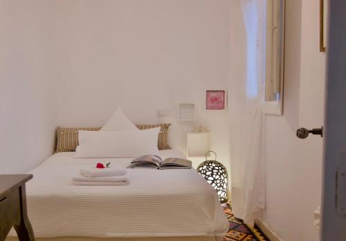 贝赫尔-德拉弗龙特拉CASA AMARO的卧室配有一张白色的床,上面有书