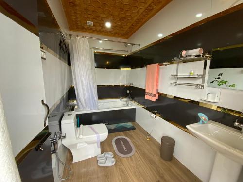 斯利那加Movie land group of house boats的浴室配有白色卫生间和盥洗盆。
