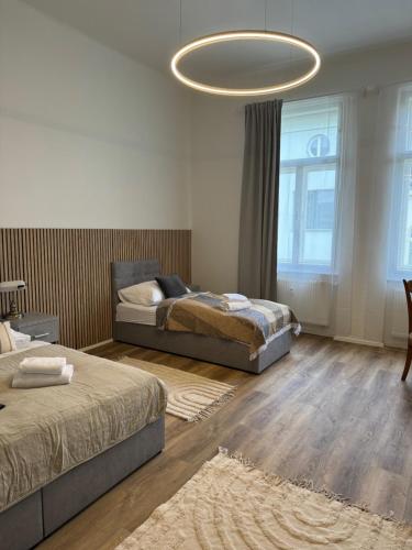 布尔诺中央公寓酒店的一间卧室设有两张床和一个大吊灯。