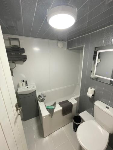 ElsecarHill Street Railway retreat.的一间带卫生间和水槽的小浴室