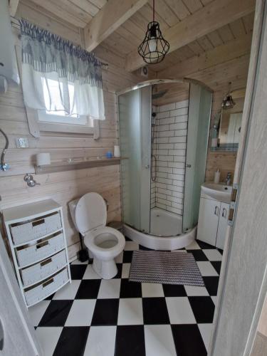 PrzykonaDomek Skandynawski的一间带卫生间和淋浴的浴室和 ⁇ 格地板