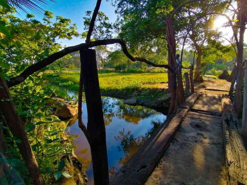 哈伯勒内Habarana Eco Lodge & Safari的树上的水体和桥梁