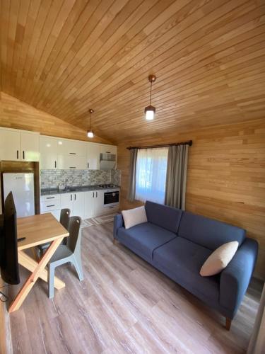 契拉勒普拉节酒店的客厅设有蓝色的沙发和木制天花板