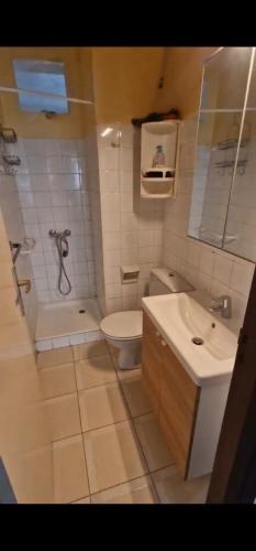 拉拉古纳Centro La Laguna Trinidad的白色的浴室设有卫生间和水槽。