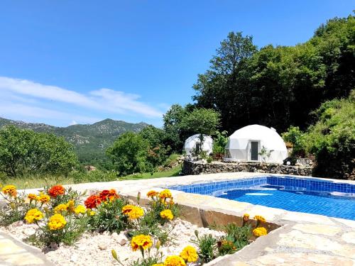 ZEN Relaxing Village的白色圆顶前的鲜花游泳池