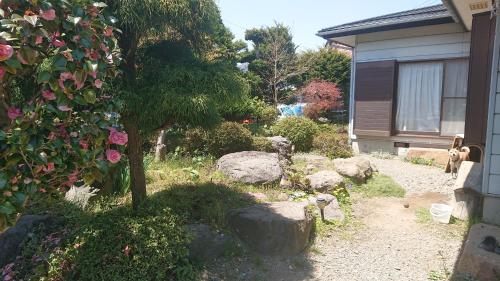 富士吉田市T&T Fujiyama Guest House的一座花园,花园内有岩石,树和房子