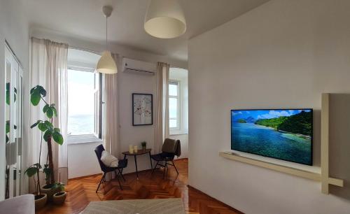 塞尼Vlatkovićeva Apartments的客厅设有壁挂式平面电视。