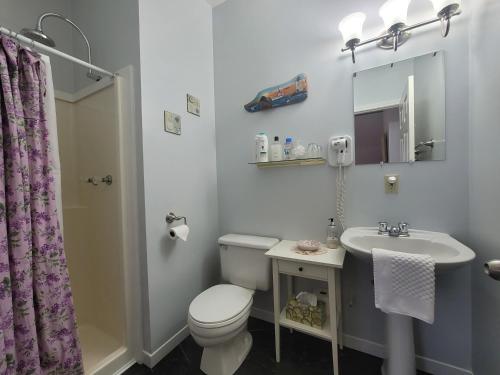 皮克图The Scotsman Inn的一间带卫生间、水槽和镜子的浴室