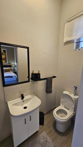逊邱伦189 Luxury Suite的一间带水槽、卫生间和镜子的浴室