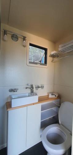 HaBonimCountryside, beach view glamping caravan的一间带卫生间、水槽和窗户的浴室