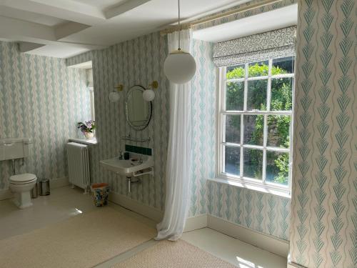 卡迪根Noyadd Trefawr的一间带卫生间、水槽和窗户的浴室