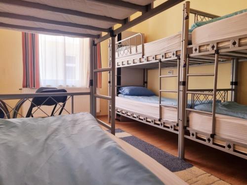 克卢日-纳波卡Transylvania Hostel的客房设有两张双层床和一张桌子。