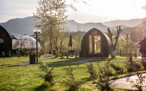 Glamp In Style Pods Resort