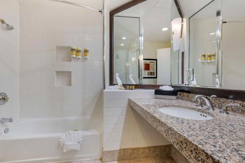 棕榈荒漠贝斯特韦斯特加棕榈沙漠度假酒店的一间带水槽、浴缸和淋浴的浴室